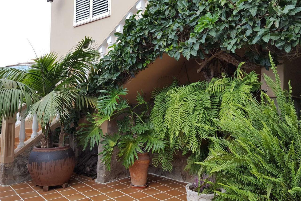 Orotava Garden House Perfect For Families Vakantiehuis La Orotava